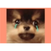 Bts funny 13