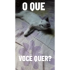 Figuras minhas 15
