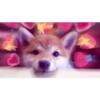 Doggo hearts 13