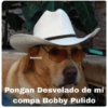 Nuevos pedidos  14