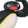 Pingu 🐧 O&M 23