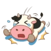 Vaquitas 🐮💓 con amorcito 19