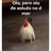 Nuevos pedidos  13