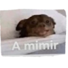 A mimir