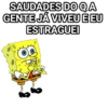 Bob sincero 10