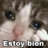 Gatitos SAD 😞 1 28