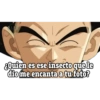 Pa los novios dragon ball 13