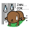 Monyet Lucu Cok Indonesia 17