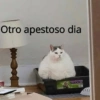 Michis con frases UwU🐱🍭🍨 18