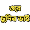 Bengali Slangs 12