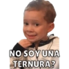Gavin 20