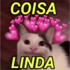 PARA O CRUSH(A) 12
