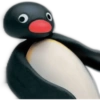 Pingu 🐧 O&M 16