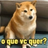 Bora memear? 😌 7