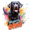 Mi perro Otelo