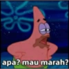 Patrick 12