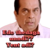 Brahmanandam 13