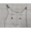 PAK de Pikachu 21