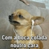 Memes: músicas do momento 💃🏻🕺🏻 15