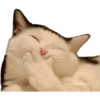 Gatitos 28