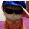 🐱🐾🐈 Cats lV  🐈🐾🐱 22