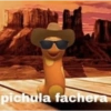 Pichulas 14