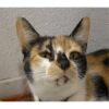 Gata 2 22