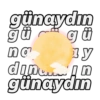 BAB DESİGN 16
