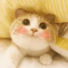 Gatitos tiernos :3 24