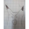 PAK de Pikachu 10