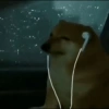 🤣Memesitos sin Contexto🤣SAD😭 13