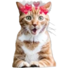 Gatitos 12