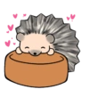 Vegeta the hedgehog 10