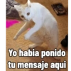 Gatetos 2 21