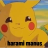 Pikachu uwu 12