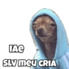 Cumprimentos/Respostas rápidas 17