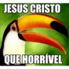 E la vamos nos 6