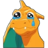Pokemon 13