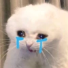 Triste 22