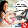Mi Copiloto Perrón 14