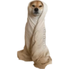 Animales Friolentos 🥶❄ 17