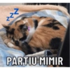 Gata 2 28