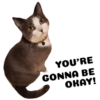 Michi the cat 18
