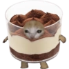 Stiker kucing cute pt3 21