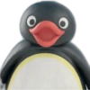Pingu 🐧 O&M 7