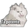 🚫Memes que no viste4🚫 25