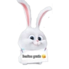 Snowball (pets) 🐰❄️💙 24