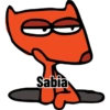 Um Domingo Aleatório 12