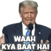 Donald Trump 12