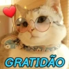 GATINHOS SIMPÁTICOS 😻 14